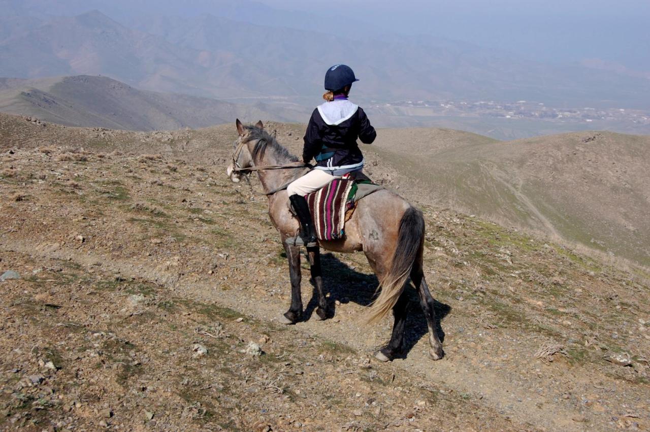 Sayyod Yurt Camp - Mountain Escape Hotel Chuprak Kültér fotó